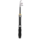 Angelrute Tragbare Kleine Short Sea Pole Mini Sea Fishing Werkzeuge Teleskop Angelrute für Reise Meerwasser Süßwasser Bass Forelle Angeln(1m)