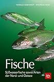 Fische: Süßwasserfische sowie Arten der Nord- und Ostsee (BLV Angelpraxis)
