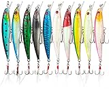 Wobbler Kunstköder Set, Weinsamkeit 10 Stück Hecht Angelköder Zander Fischköder Forellen Köder Fishing Lures Barsch Köder Dorsch Swimbait Süßwasser Salzwasser Angelset Angeln