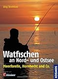Watfischen an Nord- und Ostsee: Meerforelle, Hornhecht und Co.