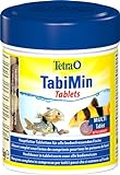 Tetra Tablets TabiMin - Tabletten Fischfutter für alle Bodenfische, z.B. Welse, Schmerlen oder bodengründelnde Barben, 275 Tabletten Dose